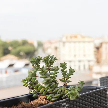 Vivilo Collection - Magna Grecia 29 View Apartment